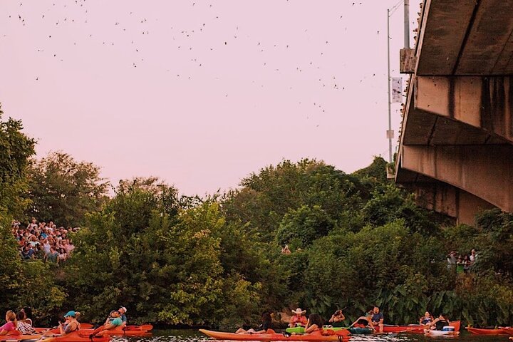 Guided Sunset Bat Kayak Tour in Austin