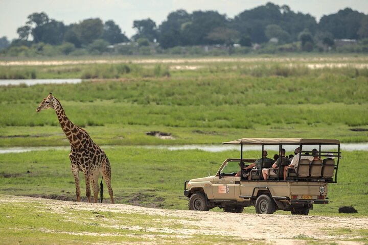 3 Hours Chobe Game Drive Safari, Botswana