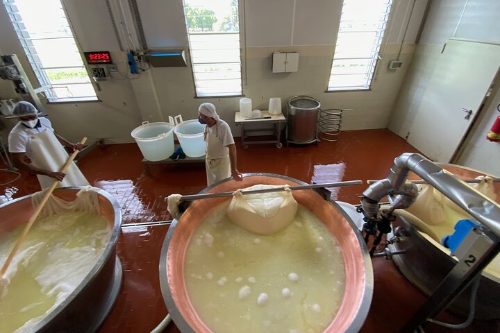 Parmigiano-Reggiano and Parma Ham Small Group Tour