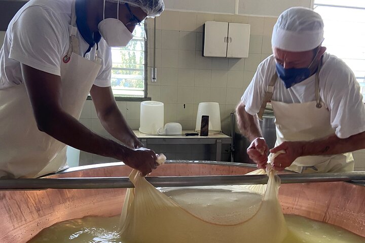Parmigiano-Reggiano and Parma Ham Small Group Tour