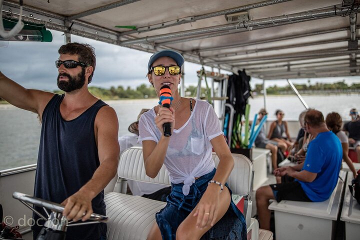 Dolphin Watching Nature Cruise and Eco Tour from Hubbard's Marina in John's Pass