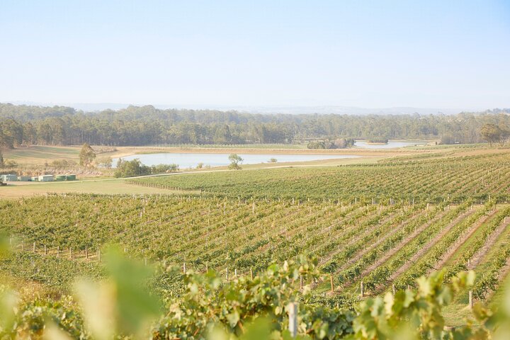 Small Group Hunter Valley Wine Tour w Lunch, Gin, Cheese & Choc