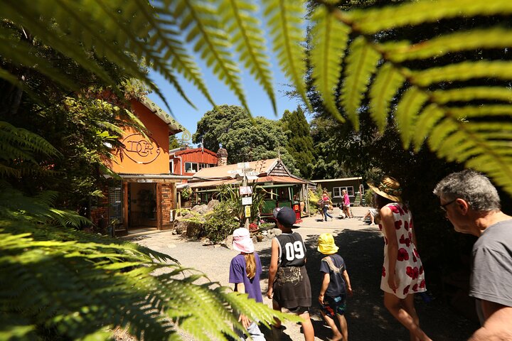 Captivating Railway Journey in Coromandel