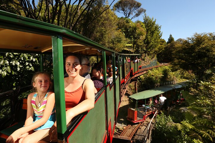 Captivating Railway Journey in Coromandel
