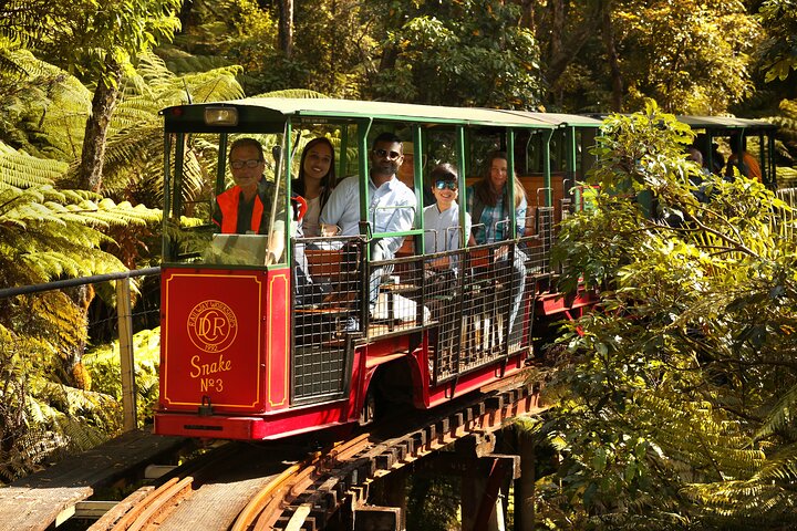 Captivating Railway Journey in Coromandel