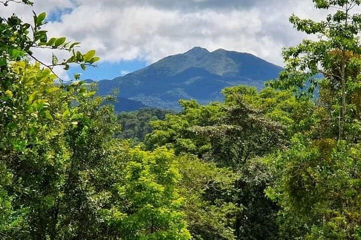 Rio Celeste Combo: River Tubing+Blue Waterfall+Exotic Wildlife