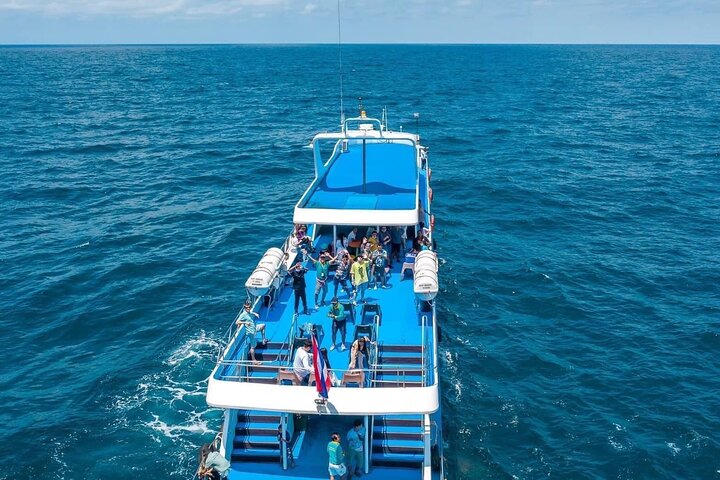 Phi Phi Island To Phuket By Phi Phi Cruiser