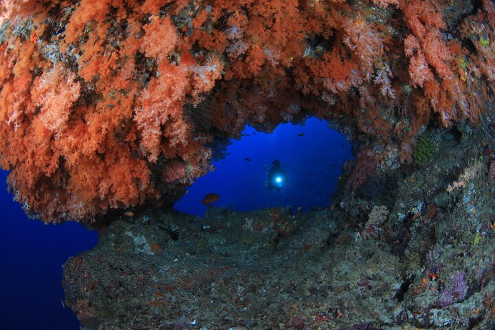 Private 5 Day Morotai Scuba Diving Trip