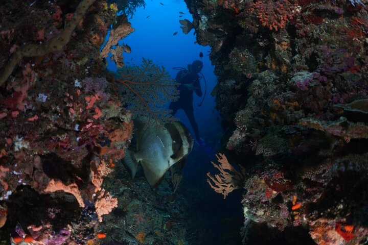 Private 5 Day Morotai Scuba Diving Trip
