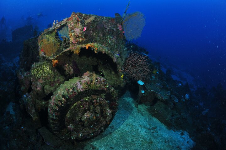 Private 5 Day Morotai Scuba Diving Trip