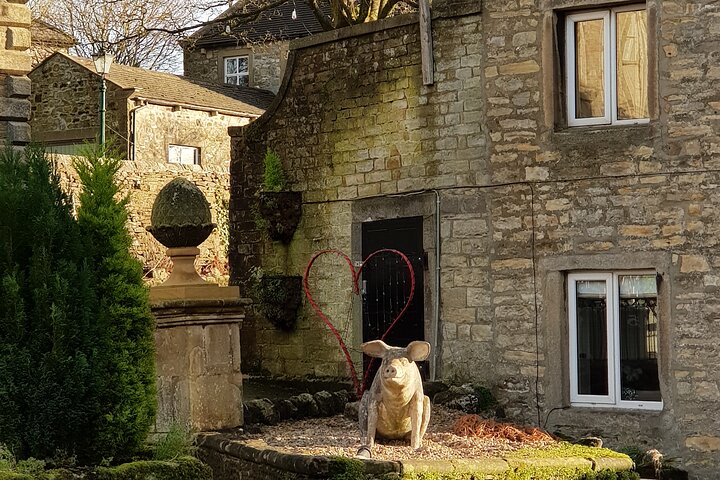 "All Creatures Great and Small" Tour from the Lake District