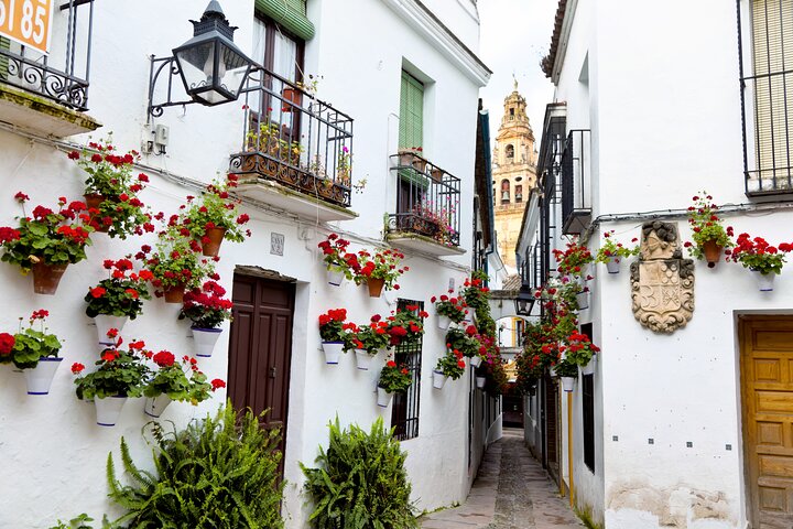 Cordoba Mosque-Cathedral & City Private Tour