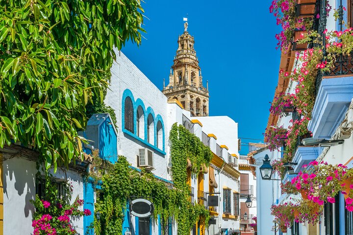 Cordoba Mosque-Cathedral & City Private Tour