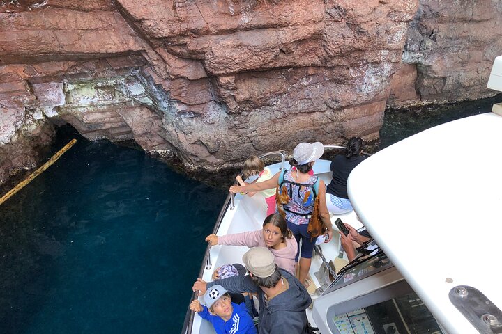 De Sagone/Cargèse: Scandola Girolata 2h Calanques Piana Swimming