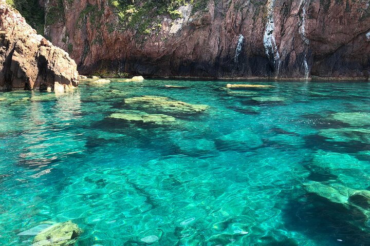 De Sagone/Cargèse: Scandola Girolata 2h Calanques Piana Swimming