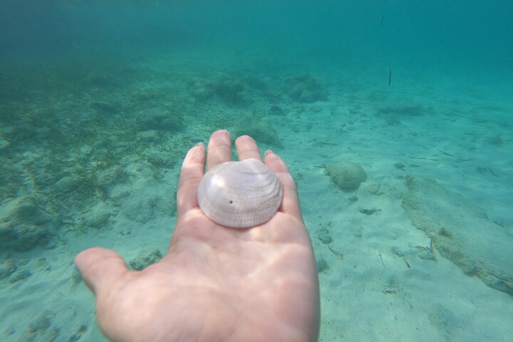 Private MUSA Snorkeling Experience at Isla Mujeres and Cancun