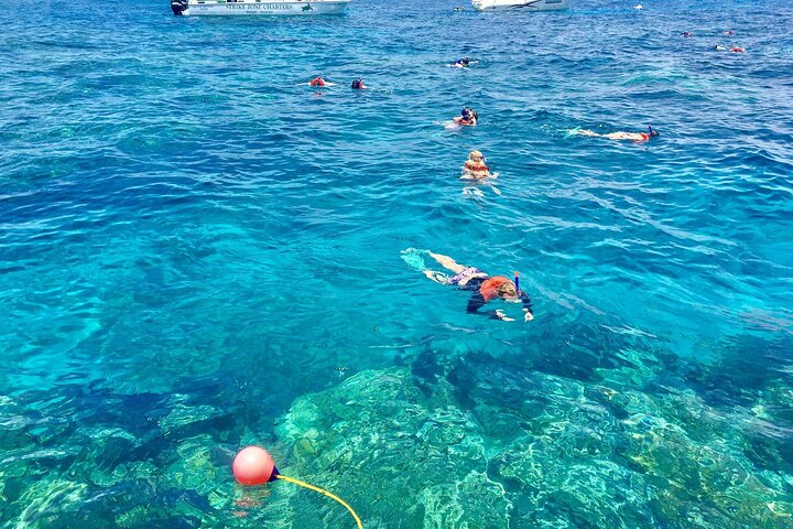 Private MUSA Snorkeling Experience at Isla Mujeres and Cancun
