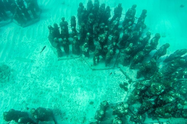 Private MUSA Snorkeling Experience at Isla Mujeres and Cancun