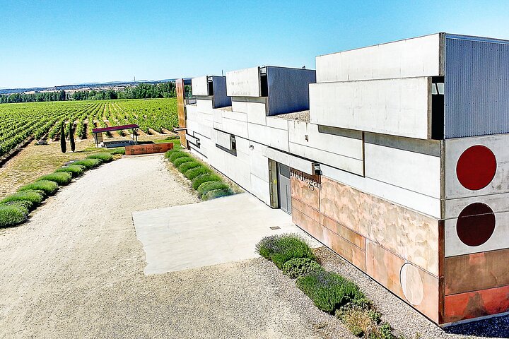 Aranda del Duero: Single Vineyard Estate Visit & Wine Tasting