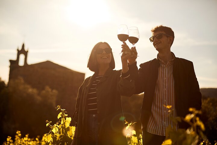 Aranda del Duero: Single Vineyard Estate Visit & Wine Tasting