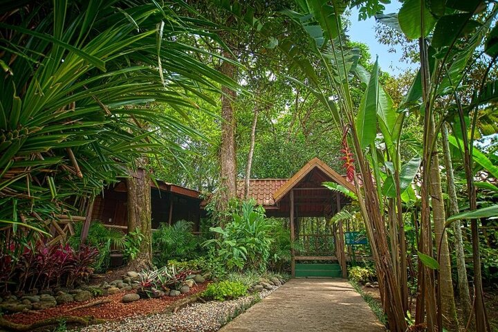 Tortuguero : All Inclusive Package 2 Nights 3 Days from San Jose