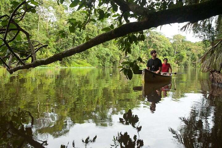 Tortuguero : All Inclusive Package 2 Nights 3 Days from San Jose