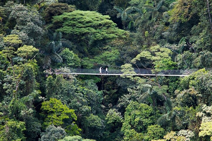 3 in 1 Combo: La Fortuna Waterfall, Hanging Bridges, Thermal Spa from San José