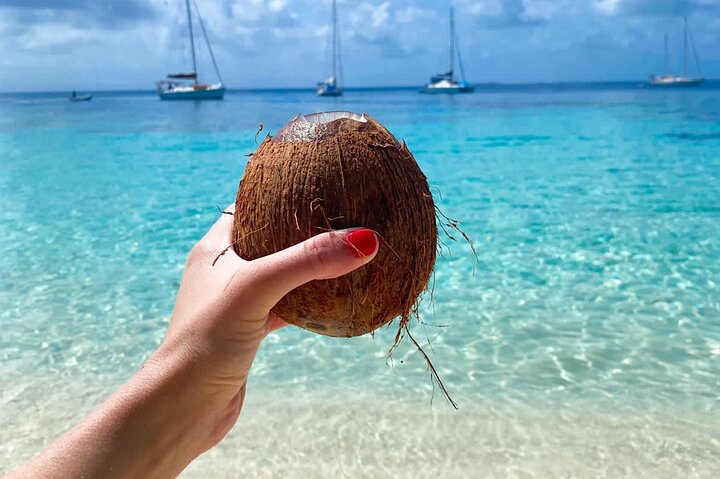 ALL INCLUSIVE San Blas Islands Day Tour on Sailboat