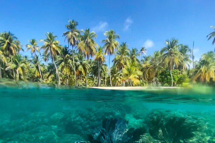 ALL INCLUSIVE San Blas Islands Day Tour on Sailboat