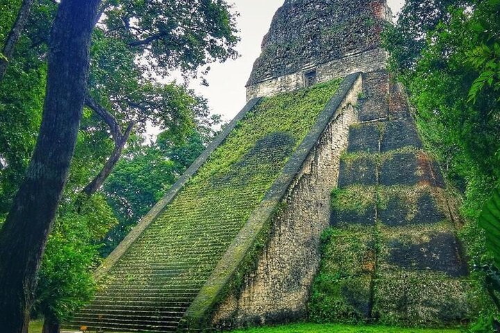 Tikal Day Tour From San Ignacio Belize