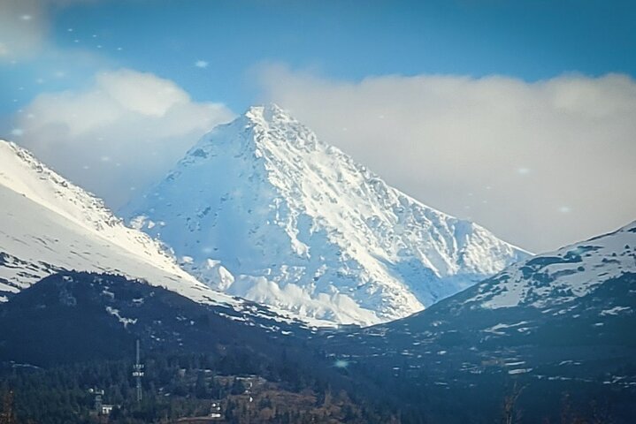 PRISTINE - Wilderness, Wildlife, Glacier Experience in Anchorage