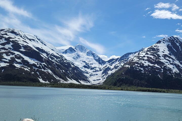 PRISTINE - Wilderness, Wildlife, Glacier Experience in Anchorage