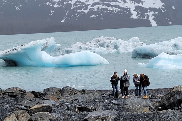 PRISTINE - Wilderness, Wildlife, Glacier Experience in Anchorage