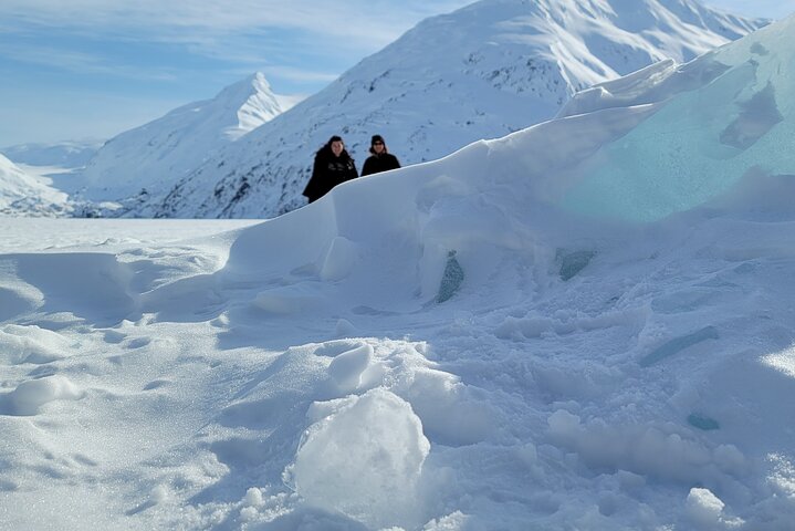 PRISTINE - Wilderness, Wildlife, Glacier Experience in Anchorage