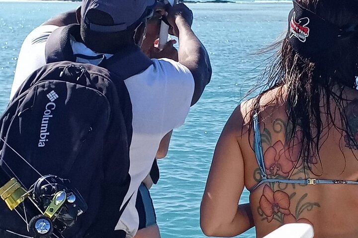 Blue hole, drift snorkeling, turtles Celebration Key is welcome