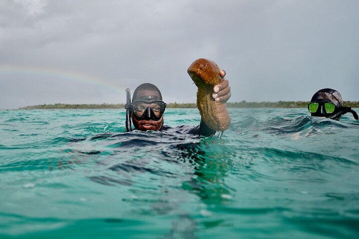 Blue hole, drift snorkeling, turtles Celebration Key is welcome