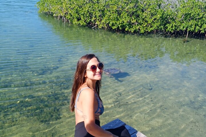 Blue hole, drift snorkeling, turtles Celebration Key is welcome