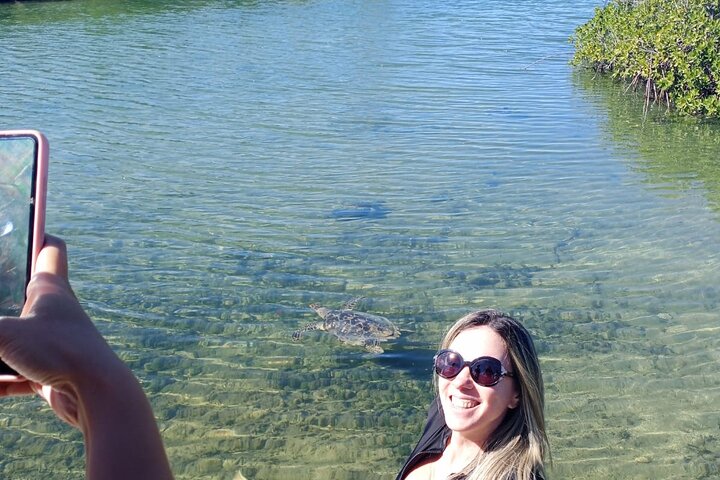 Blue hole, drift snorkeling, turtles Celebration Key is welcome