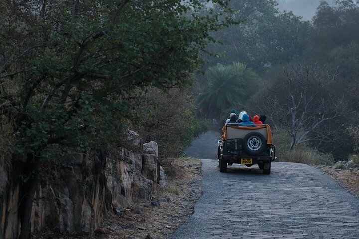 Tiger Safari-Ranthambore National Park