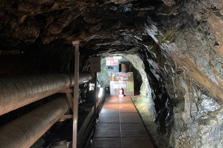 Best DMZ Tour Korea from Seoul (Suspension Bridge & JSA Museum)