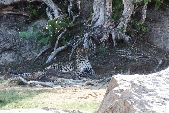 Udawalawe National Park | Private Safari Tour