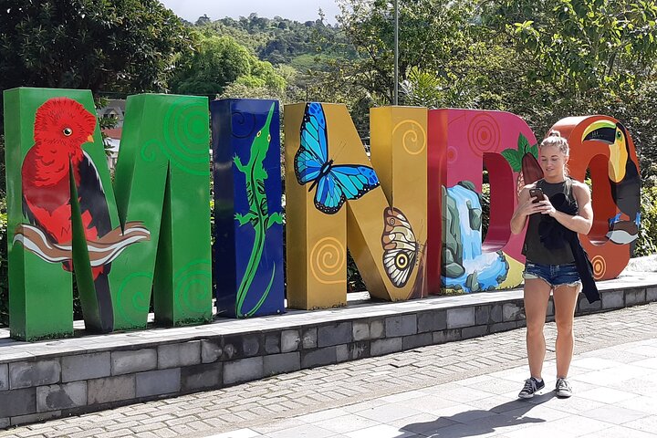 Mindo Cloud Forest: Hummingbirds, Birding & Waterfall Tour