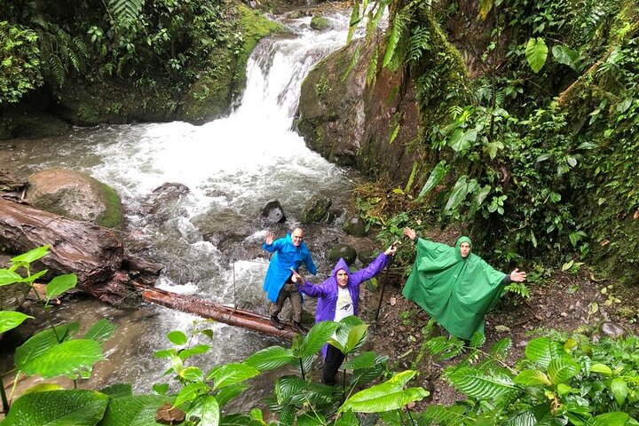 Mindo Cloud Forest: Hummingbirds, Birding & Waterfall Tour