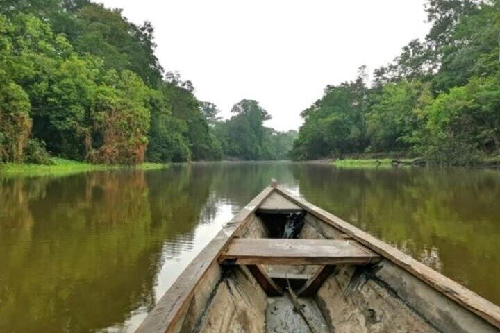 Wild Amazonas Adventure 4-Day Tour