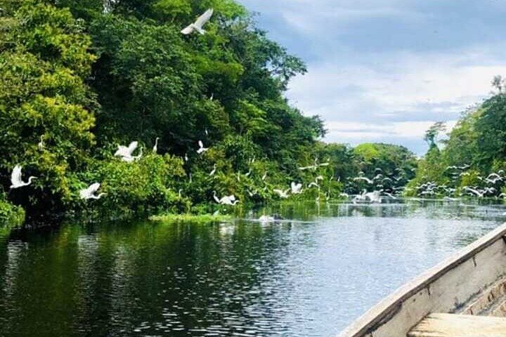 Wild Amazonas Adventure 4-Day Tour