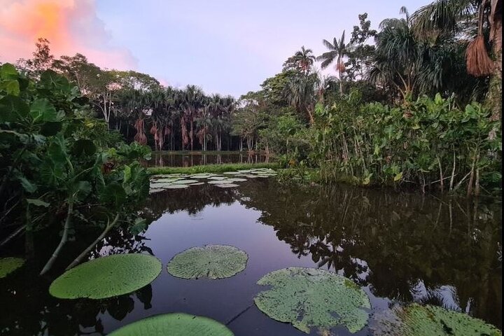 Escape to the Amazon 3-Day Tour