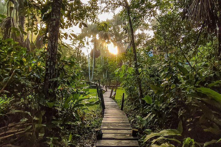 Escape to the Amazon 3-Day Tour