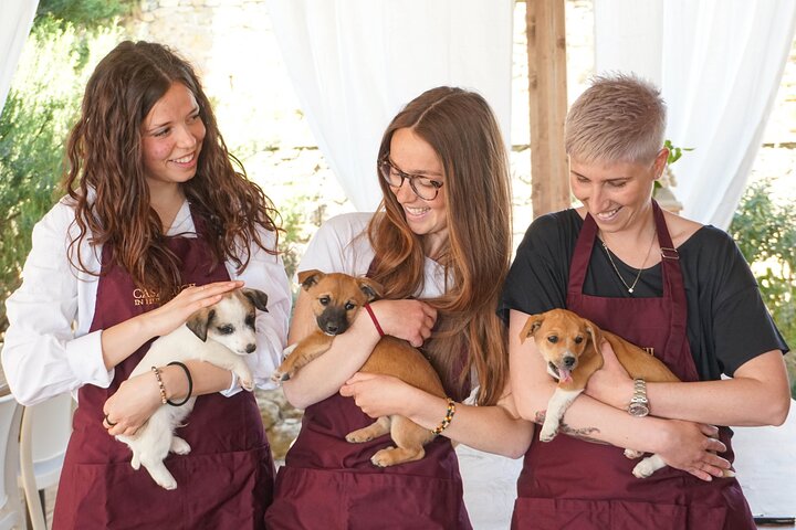 Wine and food tasting in an organic family winery