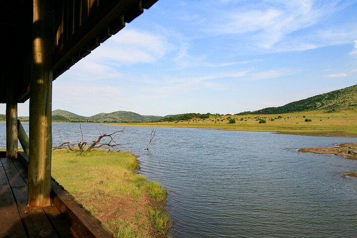 Full Day Pilanesberg Experience in Open Vehicle