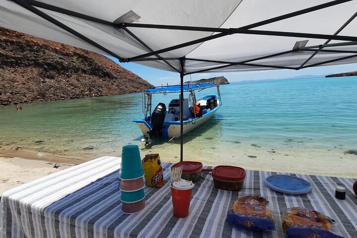 Adventure to Espiritu Santo Island: Snorkel with Sea Lions and Beach